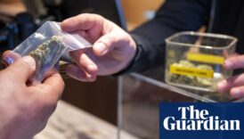 Bacteria and pesticides found in cannabis sold in Dutch coffee shops